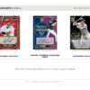 2026 Panini Donruss Elite Baseball Hobby 12-Box Case