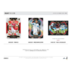 resizing_for_shopify_-_2026-06-04T114759.964 2025/26 Panini Select Ligue 1 Soccer H2 Box